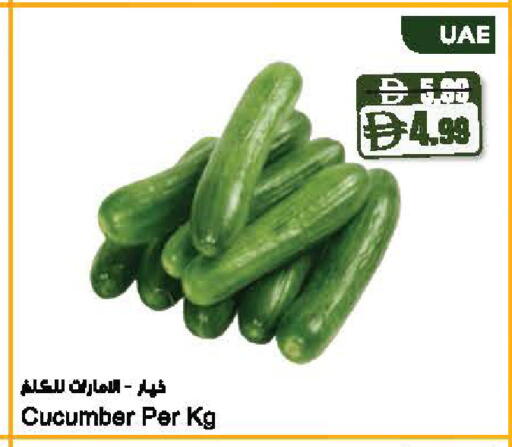 Cucumber available at Almaya Supermarkets in UAE - Dubai