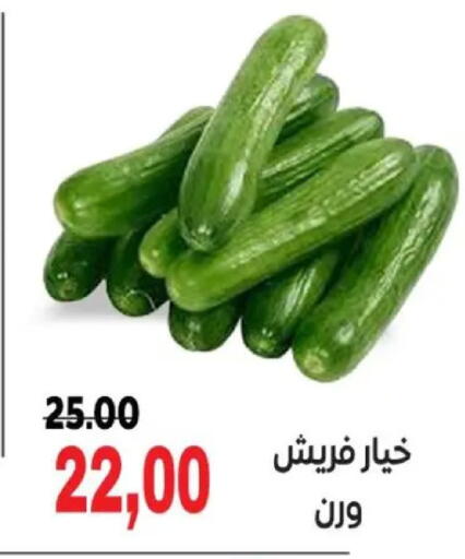 available at Galhom Market in Egypt - Cairo