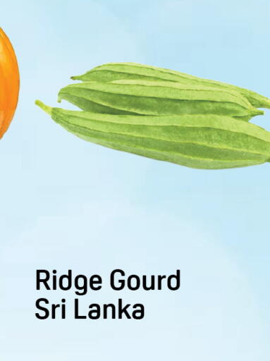 from Sri Lanka available at Day to Day Department Store in UAE - Dubai