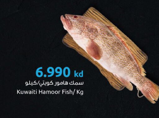 available at مركز سلطان in الكويت - مدينة الكويت