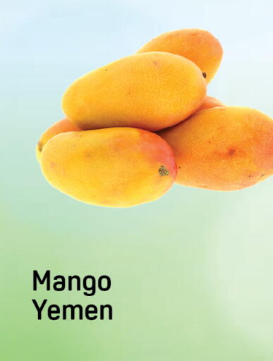 Mango from Yemen available at Day to Day Department Store in UAE - Dubai