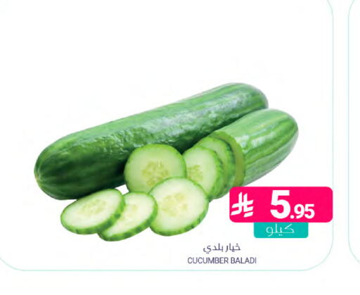 Cucumber available at اسواق المنتزه in مملكة العربية السعودية, السعودية, سعودية - القطيف‎