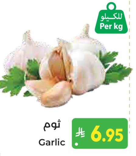Garlic available at كبايان هايبرماركت in مملكة العربية السعودية, السعودية, سعودية - ينبع