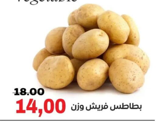 available at Galhom Market in Egypt - Cairo