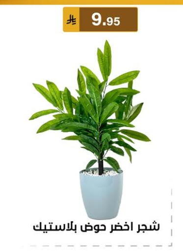 available at الحسين توب أب in مملكة العربية السعودية, السعودية, سعودية - المنطقة الشرقية