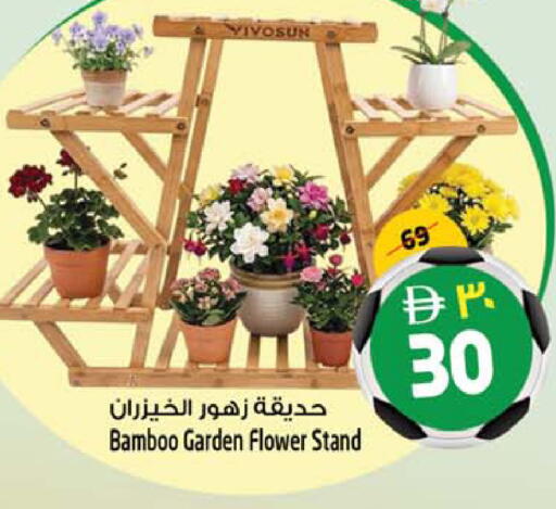 available at سفاري هايبر ماركت in الإمارات العربية المتحدة , الامارات - رَأْس ٱلْخَيْمَة