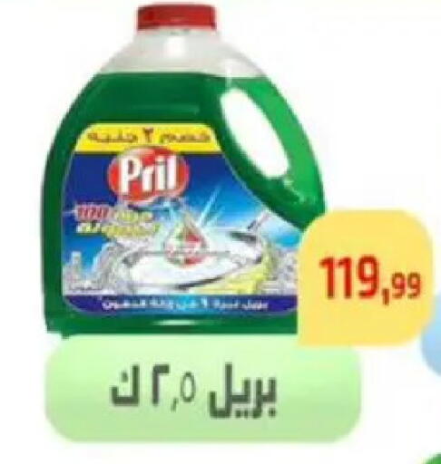 available at مؤسسة ايهاب البرنس in Egypt - القاهرة