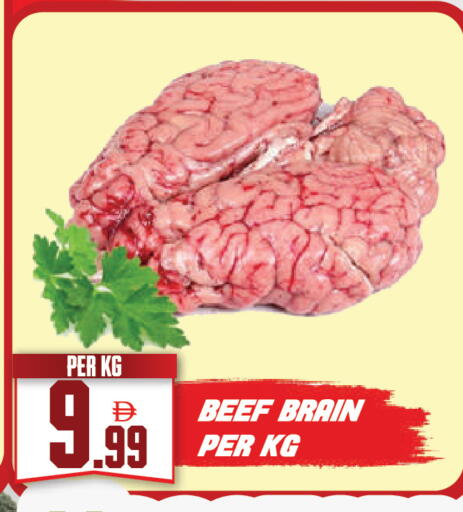 available at دريم لاند in الإمارات العربية المتحدة , الامارات - دبي