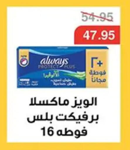 available at Abu Saleh Dairy Market in Egypt - Cairo