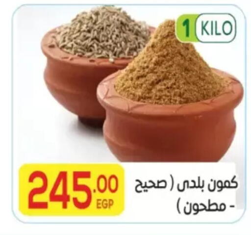 available at المحلاوي ماركت in Egypt - القاهرة