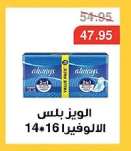 available at Abu Saleh Dairy Market in Egypt - Cairo
