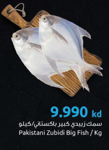 available at مركز سلطان in الكويت - مدينة الكويت