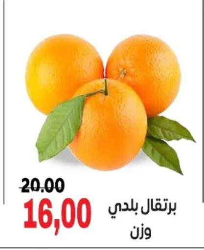 available at Galhom Market in Egypt - Cairo