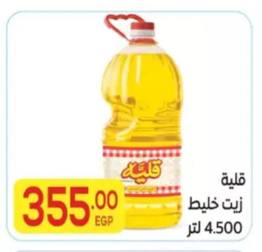 available at المحلاوي ماركت in Egypt - القاهرة