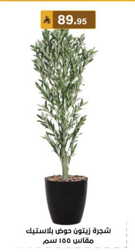 available at الحسين توب أب in مملكة العربية السعودية, السعودية, سعودية - المنطقة الشرقية