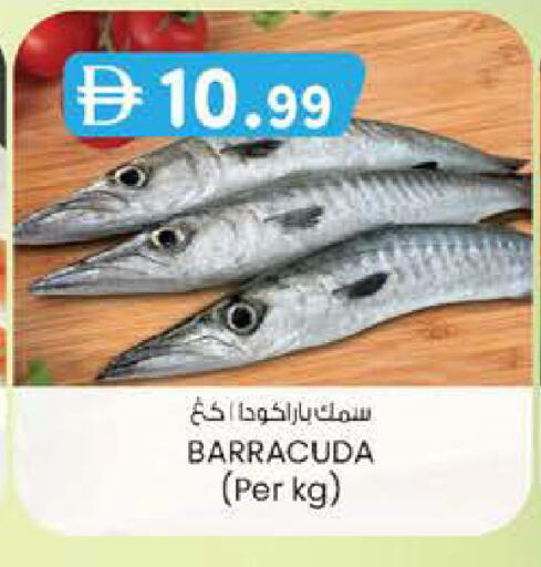 available at K M Trading  in UAE - Abu Dhabi