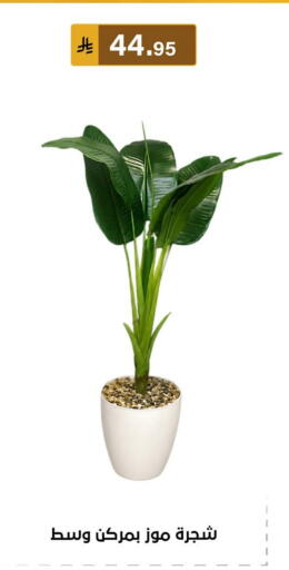 available at الحسين توب أب in مملكة العربية السعودية, السعودية, سعودية - المنطقة الشرقية