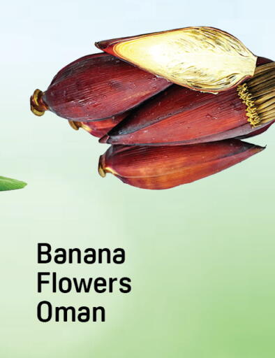 Banana from Oman available at Day to Day Department Store in UAE - Dubai