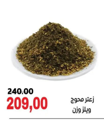available at Galhom Market in Egypt - Cairo