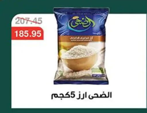 available at Abu Saleh Dairy Market in Egypt - Cairo