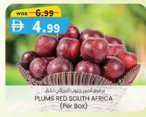 Plums from South Africa available at ك. الم. للتجارة in الإمارات العربية المتحدة , الامارات - ٱلْفُجَيْرَة‎
