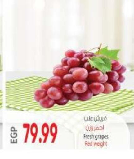 Grapes available at El.Husseini supermarket  in Egypt - Cairo
