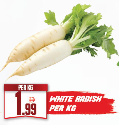 Radish available at دريم لاند in الإمارات العربية المتحدة , الامارات - دبي