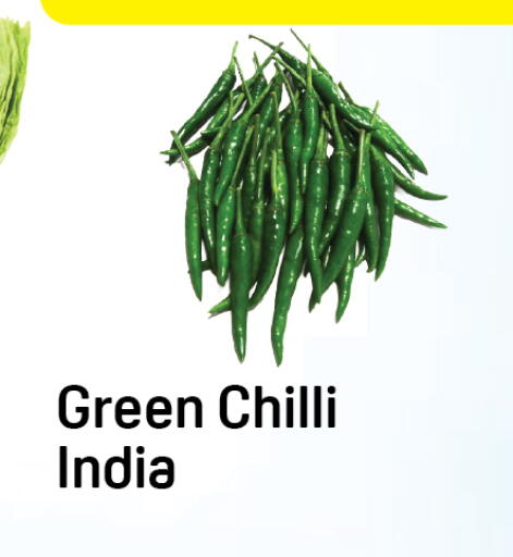 Green chilli from India available at Day to Day Department Store in UAE - Dubai