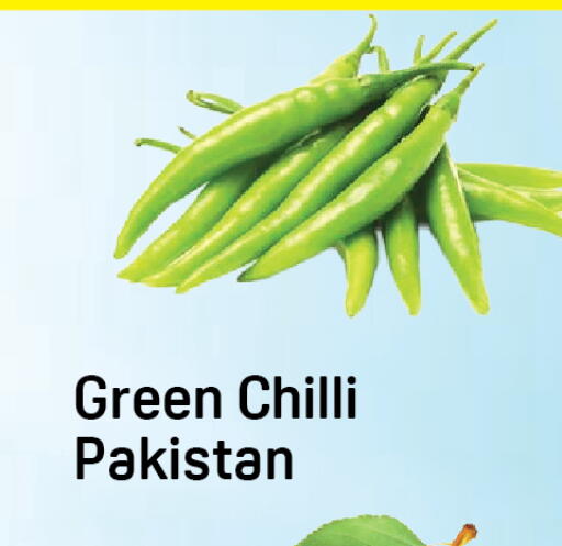 Green chilli from Pakistan available at Day to Day Department Store in UAE - Dubai
