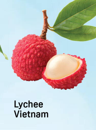 Lychee from Vietnam available at Day to Day Department Store in UAE - Dubai