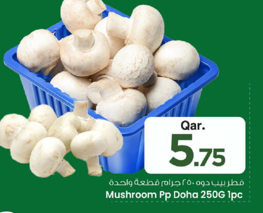 Mushroom from Qatar available at Mark & Save  in Qatar - Doha