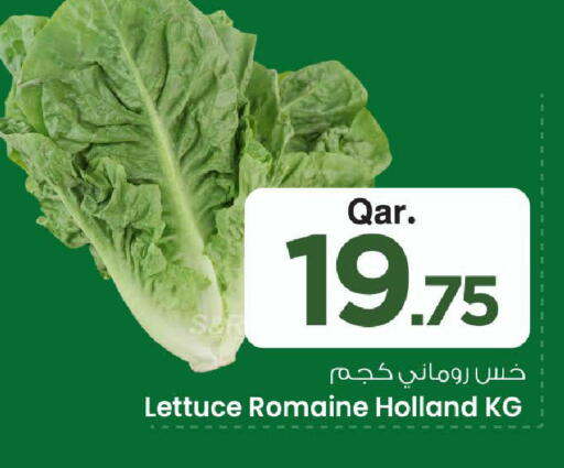 Lettuce available at Mark & Save  in Qatar - Doha