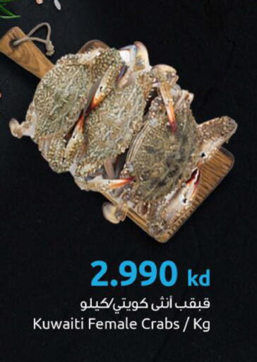 available at مركز سلطان in الكويت - مدينة الكويت