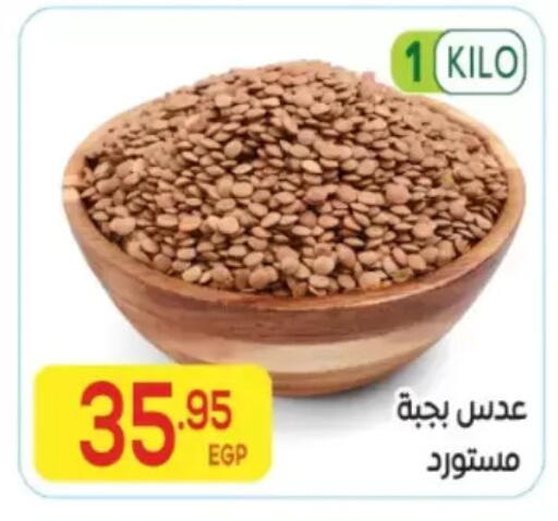 available at المحلاوي ماركت in Egypt - القاهرة