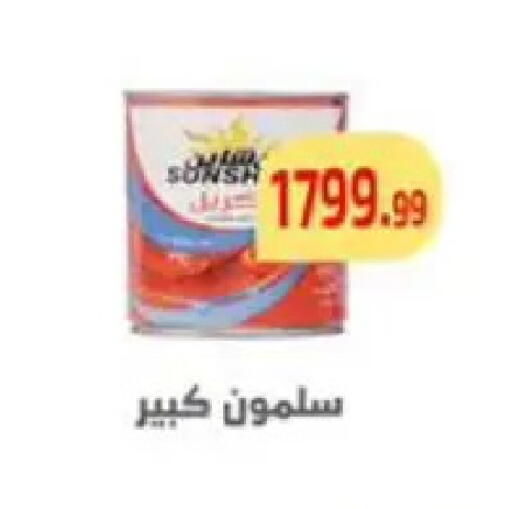 available at مؤسسة ايهاب البرنس in Egypt - القاهرة