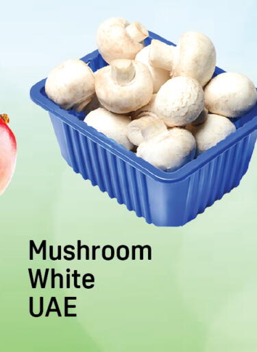 Mushroom available at Day to Day Department Store in UAE - Dubai