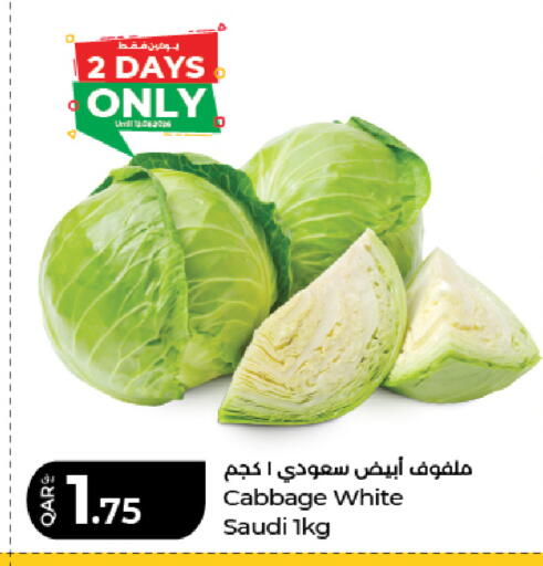 Cabbage from Saudi Arabia available at لولو هايبرماركت in قطر - أم صلال