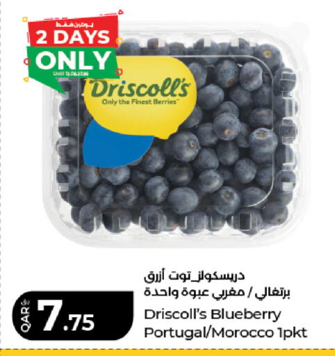 Blueberry BlueBerry from Portugal Morocco available at لولو هايبرماركت in قطر - أم صلال
