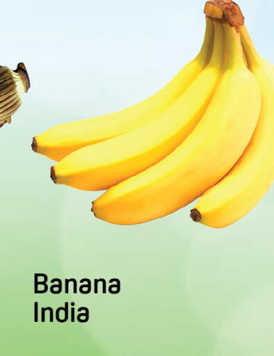 Banana from India available at Day to Day Department Store in UAE - Dubai