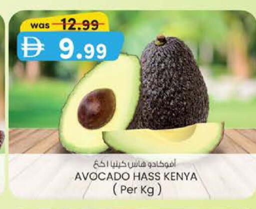 Avocado from Kenya available at ك. الم. للتجارة in الإمارات العربية المتحدة , الامارات - ٱلْفُجَيْرَة‎