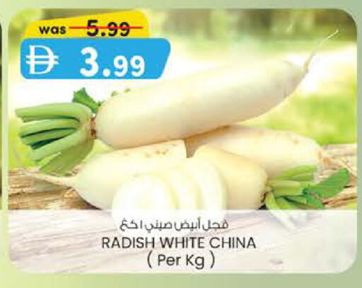 Radish from China available at K M Trading  in UAE - Fujairah