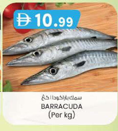 available at K M Trading  in UAE - Fujairah