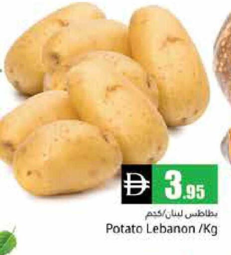 Potato from Lebanon available at هايبر ماركت باسونز in الإمارات العربية المتحدة , الامارات - دبي