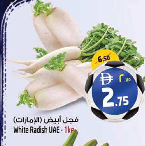 Radish available at سفاري هايبرماركت in الإمارات العربية المتحدة , الامارات - الشارقة / عجمان