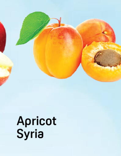 Apricot available at دي تو دي in الإمارات العربية المتحدة , الامارات - دبي