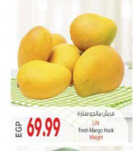 Mango available at El.Husseini supermarket  in Egypt - Cairo