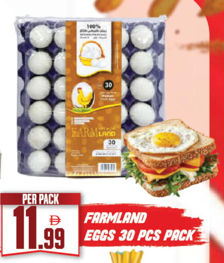 available at دريم لاند in الإمارات العربية المتحدة , الامارات - دبي