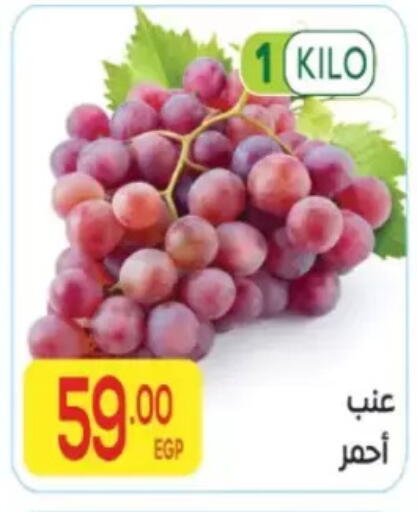 available at المحلاوي ماركت in Egypt - القاهرة