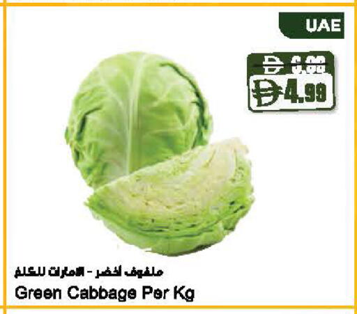 Cabbage available at Almaya Supermarkets in UAE - Dubai