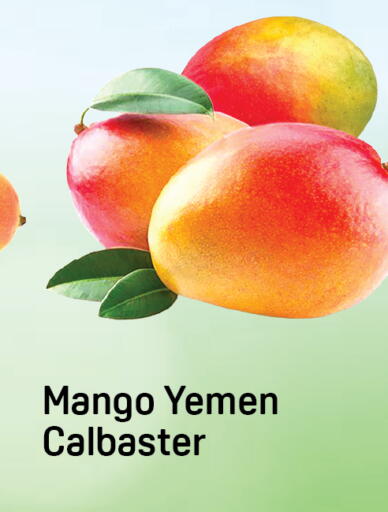 Mango from Yemen available at Day to Day Department Store in UAE - Dubai